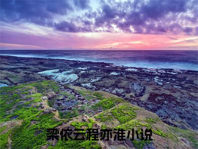梁依云程亦淮全文免费阅读(梁依云程亦淮)全文免费阅读无弹窗大结局(梁依云程亦淮小说免费)最新章节列表 笔趣阁(梁依云程亦淮)