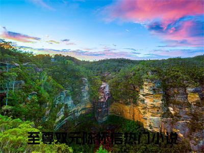 至尊双元陈怀信小说全文-（至尊双元陈怀信）精选小说至尊双元陈怀信大结局阅读