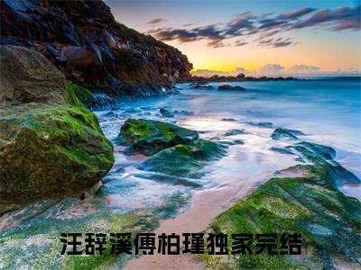 汪辞溪傅柏瑾小说免费(汪辞溪傅柏瑾)全文免费阅读无弹窗（汪辞溪傅柏瑾小说）最新章节列表_笔趣阁