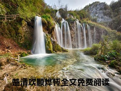 楚清欢顾烨怀小说（楚清欢顾烨怀）完整版阅读-楚清欢顾烨怀小说全文无删减版