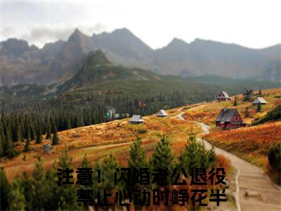 时峥花半夏（注意！闪婚老公退役，禁止心动）笔趣阁免费小说_时峥花半夏笔趣阁最新章节注意！闪婚老公退役，禁止心动免费在线阅读大结局