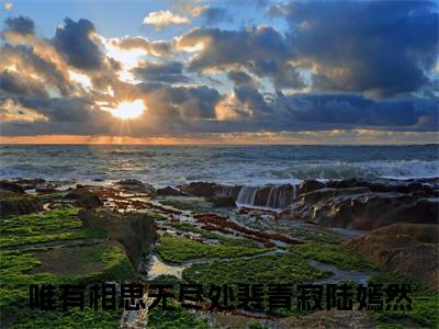 裴青寂陆嫣然全文免费阅读无弹窗大结局-唯有相思无尽处小说在哪里可以看