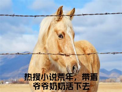 荒年，带着爷爷奶奶活下去小说（岁禾）全文免费阅读无弹窗大结局_岁禾最新章节列表（岁禾）