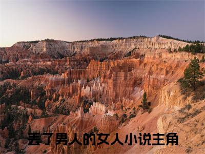 丢了男人的女人高赞小说（香莲韩家柏）完结阅读_丢了男人的女人全文完整版免费阅读最新章节列表香莲韩家柏（番外+免费）