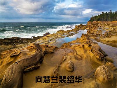 热文（向慧兰裴绍华）美文阅读_热门小说主人公是（向慧兰裴绍华）最新章节限时观看_笔趣阁