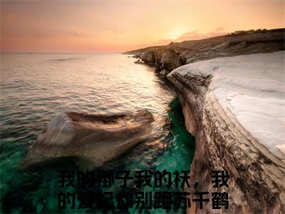 我的褂子我的袄，我的爱妃你别跑苏千鹤（我的褂子我的袄，我的爱妃你别跑苏千鹤）全文免费阅读大结局-我的褂子我的袄，我的爱妃你别跑苏千鹤小说全文免费阅读最新章节列表