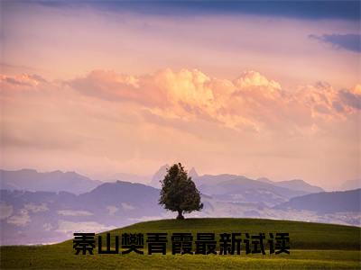 权力法则秦山樊青霞小说-权力法则小说免费阅读