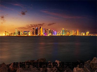 林婉宁贺君临免费小说 林婉宁贺君临全文阅读目录
