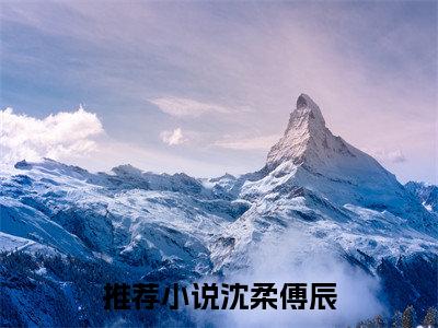 沈柔傅辰（沈柔傅辰）最新章节在线阅读-（沈柔傅辰）小说全文免费阅读