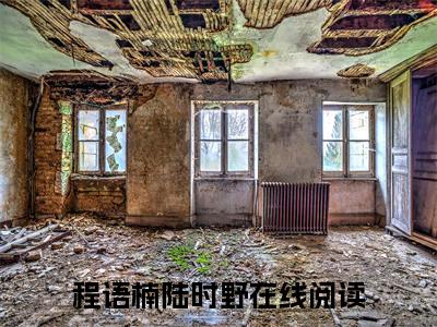 程语楠陆时野在线阅读（程语楠陆时野）全文免费阅读无弹窗大结局_程语楠陆时野免费最新章节列表_笔趣阁（程语楠陆时野）