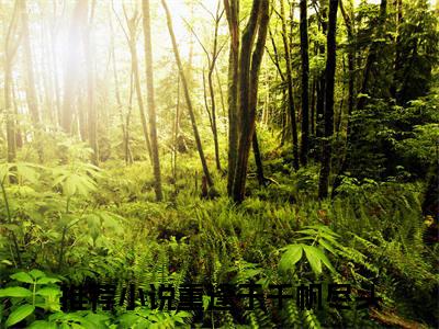 程音音沈青野小说（重逢于千帆尽头）全文免费阅读无弹窗大结局_重逢于千帆尽头小说免费阅读无弹窗最新章节列表