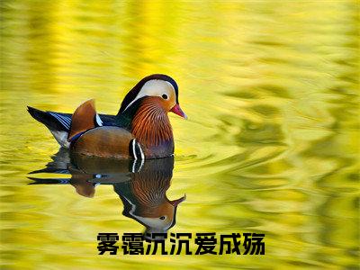 雾霭沉沉爱成殇免费阅读无弹窗大结局，顾薄聿孟洛薇（最新全章节）全文阅读免费阅读-笔趣阁