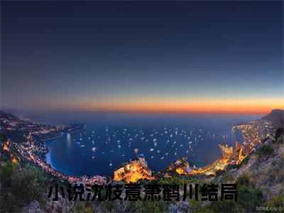 沈枝意萧鹤川全文免费阅读无弹窗大结局_(沈枝意萧鹤川免费阅读)沈枝意萧鹤川最新章节列表_笔趣阁
