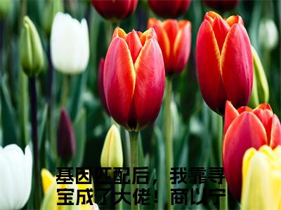 基因匹配后，我靠寻宝成了大佬！商以宁(基因匹配后，我靠寻宝成了大佬！商以宁全文免费阅读)_基因匹配后，我靠寻宝成了大佬！商以宁小说最新章节免费阅读