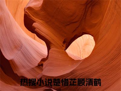 楚惜芷顾清鹤小说全文免费阅读无弹窗，楚惜芷顾清鹤在线阅读无弹窗