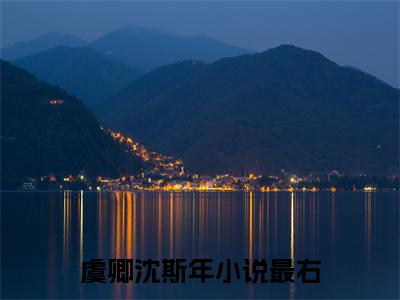 虞卿沈斯年正版阅读小说全文虞卿沈斯年-《虞卿沈斯年》免费小说无广告