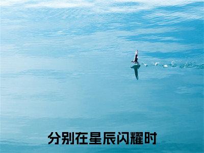 分别在星辰闪耀时小说（苏幕遮陆景宴）全文完整版免费阅读-苏幕遮陆景宴全文完整版免费阅读（苏幕遮陆景宴）