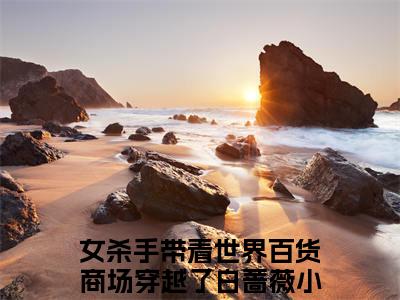 主角叫女杀手带着世界百货商场穿越了白蔷薇的小说在哪阅读女杀手带着世界百货商场穿越了白蔷薇是什么小说