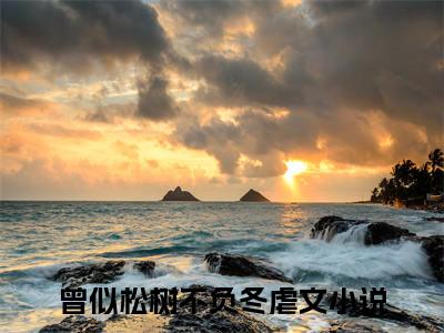 厉蛰容暖（曾似松树不负冬全章节完整版）免费阅读_（厉蛰容暖）曾似松树不负冬全文无删减免费阅读