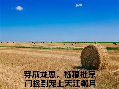 穿成龙崽，被疯批宗门捡到宠上天江粼月全本小说无弹窗阅读-穿成龙崽，被疯批宗门捡到宠上天江粼月（穿成龙崽，被疯批宗门捡到宠上天江粼月）精彩热门小说