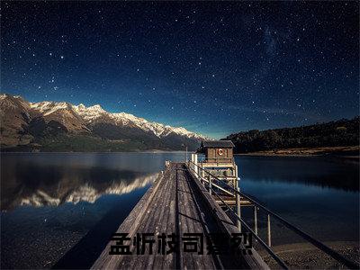 孟忻枝司霆烈小说（孟忻枝司霆烈）全文免费阅读-孟忻枝司霆烈精彩章节在线阅读