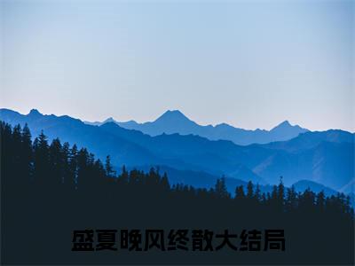 傅珉轩林晚音小说（盛夏晚风终散）全文免费阅读_（傅珉轩林晚音小说）盛夏晚风终散小说精彩在线赏析