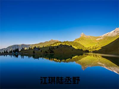 江琪陆丞野（江琪陆丞野）小说结局-江琪陆丞野全文无弹窗阅读