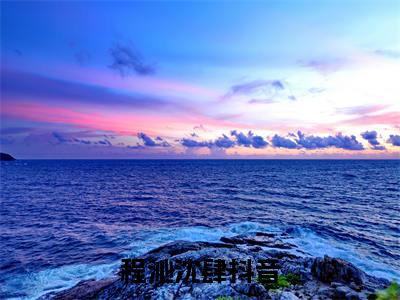唯有相思叹余生（程沁沈肆）全文免费阅读无弹窗大结局_程沁沈肆小说最新章节列表