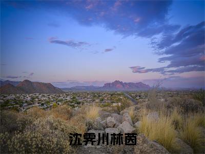 互不相欠（沈霁川林茵）全文免费阅读无弹窗大结局_互不相欠（沈霁川林茵）小说全文免费阅读最新章节列表