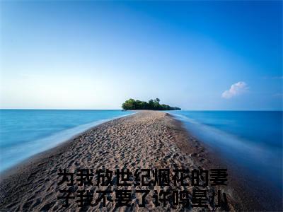 《为我放世纪烟花的妻子我不要了许鸣星》全文免费阅读无弹窗大结局_为我放世纪烟花的妻子我不要了许鸣星无弹窗全文阅读