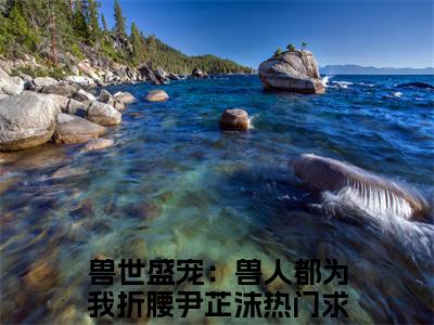 精选小说兽世盛宠：兽人都为我折腰尹芷沫（兽世盛宠：兽人都为我折腰尹芷沫）全本阅读_兽世盛宠：兽人都为我折腰尹芷沫免费阅读_笔趣阁