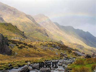 觉醒八零：结婚你不肯，我逃婚你哭什么全文（梁婉秋）全文免费阅读无弹窗大结局_梁婉秋全文免费阅读最新章节列表