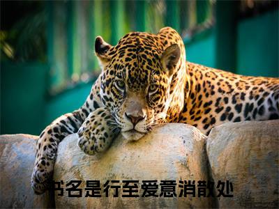 行至爱意消散处精选小说大结局阅读-新上热文小说（行至爱意消散处）讲的是什么