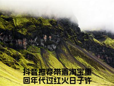 抖音热推高点击小说（带着淘宝重回年代过红火日子许如意）在线阅读-带着淘宝重回年代过红火日子许如意无广告阅读