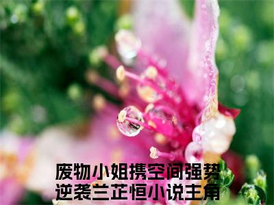 废物小姐携空间强势逆袭兰芷恒小说全文免费阅读正版 废物小姐携空间强势逆袭兰芷恒免费阅读无弹窗