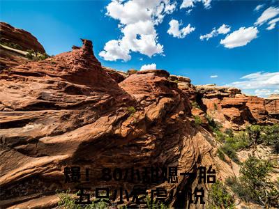 秦埘越安柠（爆！80小甜媳一胎五只小老虎）小说全文免费阅读无弹窗_（爆！80小甜媳一胎五只小老虎）最新章节列表_笔趣阁