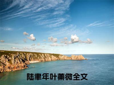 陆聿年叶蓁微是哪部小说的主角，暮色苍茫后离别免费阅读全文大结局