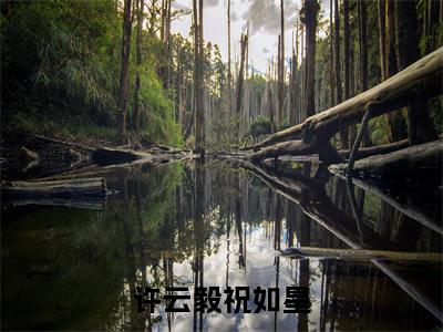 从前不待春风慢（许云毅祝如星）女生必看小说全集_许云毅祝如星（从前不待春风慢）全文免费阅读