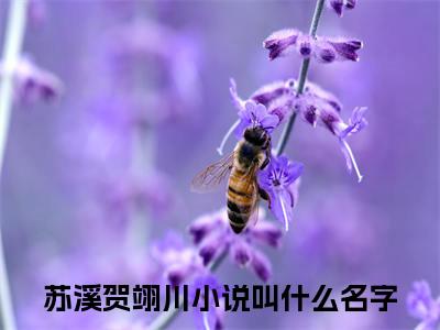 婚后重生，贺少宠妻成瘾全文免费阅读无弹窗大结局_（苏溪贺翊川）婚后重生，贺少宠妻成瘾热门章节在线阅读笔趣阁（苏溪贺翊川）