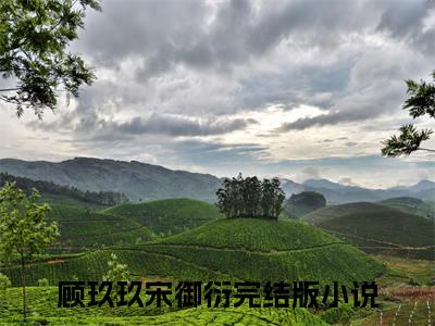 顾玖玖宋御衍（顾玖玖宋御衍）免费阅读完整版-顾玖玖宋御衍全文大结局已完结