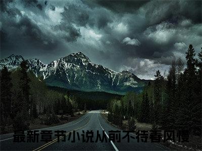 从前不待春风慢（许云毅祝如星）正版小说最新章节在线阅读_（许云毅祝如星全文免费阅读无弹窗）