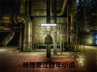 林晚夏江肆年小说（林晚夏江肆年）全文免费阅读无弹窗大结局_林晚夏江肆年小说最新章节列表_笔趣阁（林晚夏江肆年）