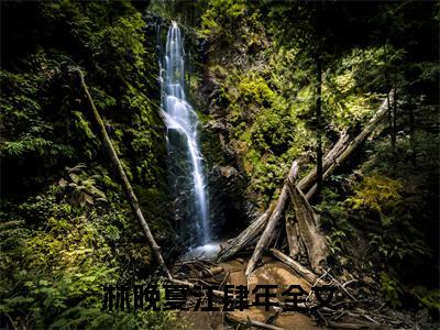 林晚夏江肆年全文阅读-林晚夏江肆年小说全文免费阅读_林晚夏江肆年最新章节列表_笔趣阁