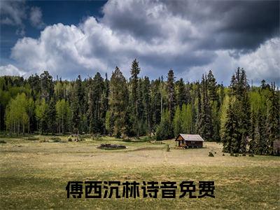 小说完整版阅读-傅西沉林诗音美文欣赏