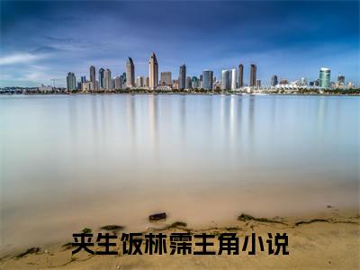 夹生饭林霈全网首发小说，夹生饭林霈全文免费阅读