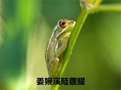 穿书七零：真千金她军婚甜蜜蜜小说（姜婉溪陆霆耀）全文免费阅读无弹窗大结局_穿书七零：真千金她军婚甜蜜蜜小说最新章节列表_笔趣阁