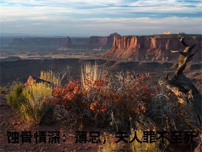许宁薄雲深小说蚀骨情深：薄总，夫人罪不至死大结局-精彩美文蚀骨情深：薄总，夫人罪不至死免费阅读