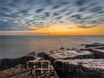 （蚀骨情深：薄总，夫人罪不至死）许宁薄雲深小说小说全文免费许宁薄雲深读最新章节列表笔趣阁（蚀骨情深：薄总，夫人罪不至死）