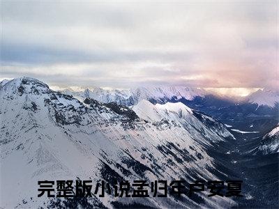 孟归年卢安夏小说好看吗-孟归年卢安夏最后结局如何（孟归年卢安夏）在线赏析全文