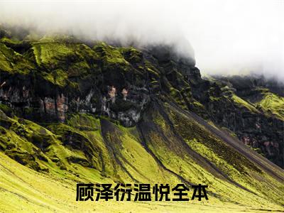 顾泽衍温悦免费阅读，主角为顾泽衍温悦的言情小说